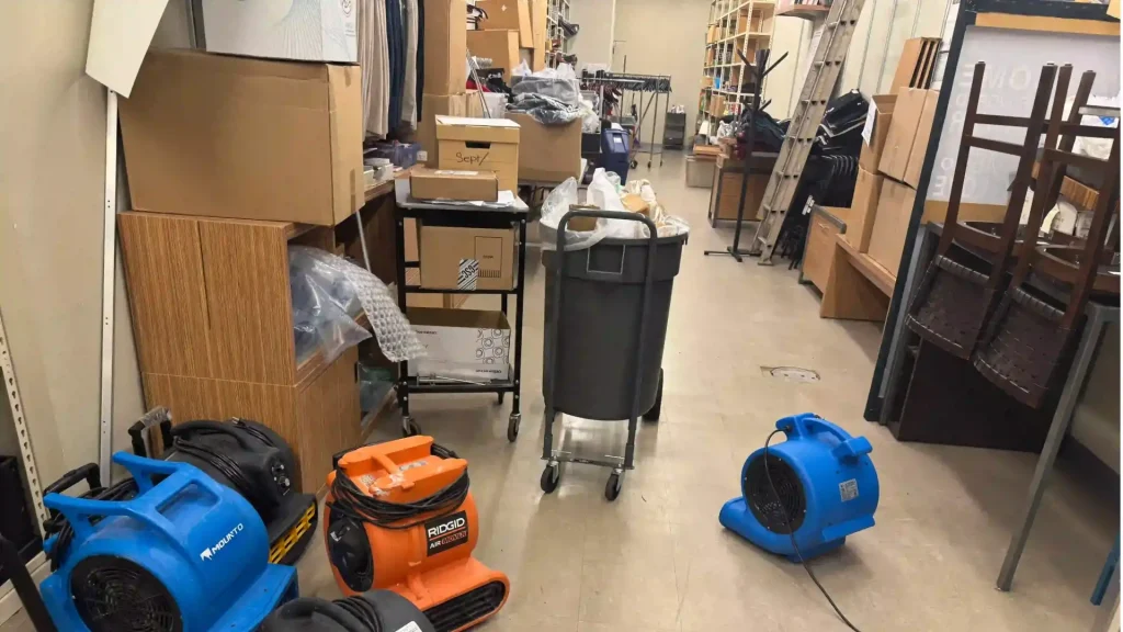 robinhood-restoration-seattle-water-mitigation-1