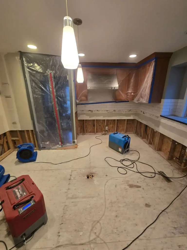 robinhood-restoration-sewage-backup-cleanup-seattle